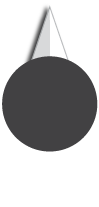 Speed gauge needle